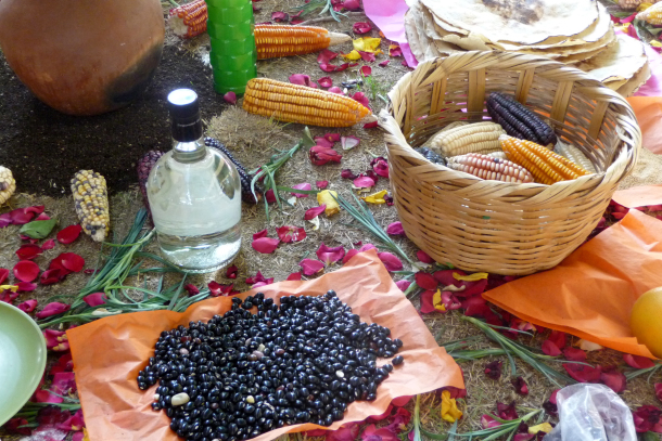 Corn, beans and mescal - staples of the Oaxacan diet